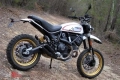 All original and replacement parts for your Ducati Scrambler Desert Sled Thailand 803 2017.